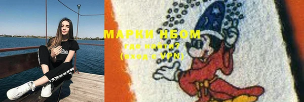 стафф Бородино