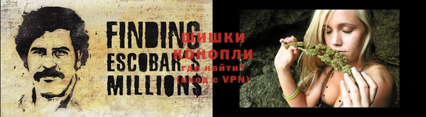 стафф Бородино