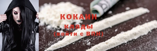 стафф Бородино