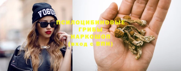 стафф Бородино