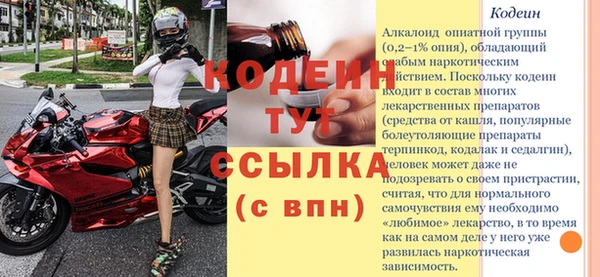 стафф Бородино