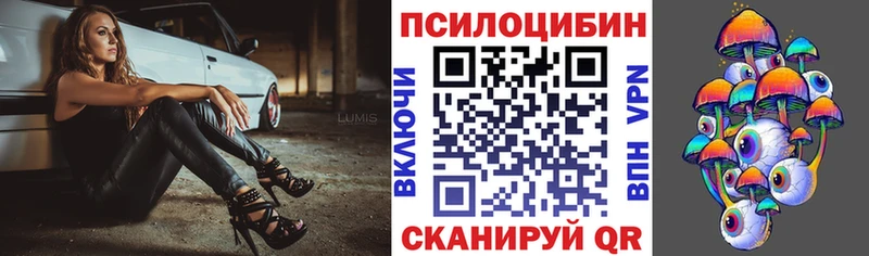 Галлюциногенные грибы прущие грибы  Купить где  Минеральные Воды 